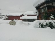 製作工房武田のお知らせ画像 どっさり降りました☃